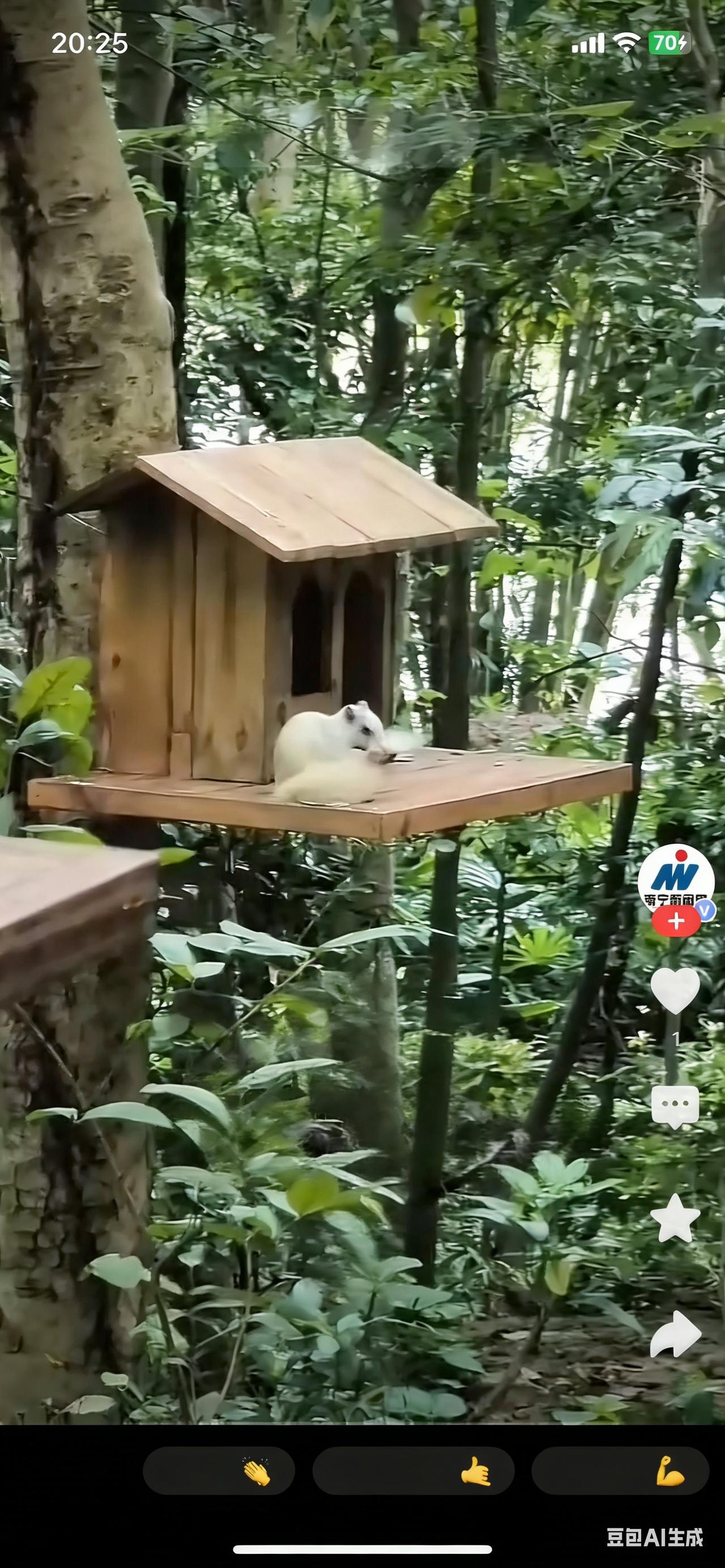 百万分之一的奇遇！南宁石门公园惊现“白色精灵”，刷爆朋友圈

谁能想到，在南宁石