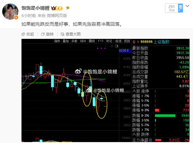 冲高回落！！！明天还是未知的，所以规避风险是交易里最重要的一环！ 