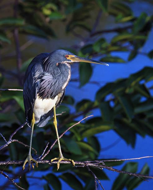 一位高端社交圈大佬说：
真正的向上社交，从来不是攀附，而是交换

很多人一说“向