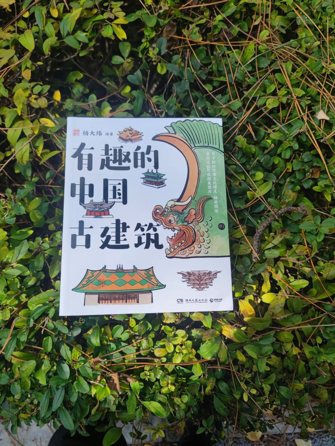 《有趣的中国古建筑》：懂了！建筑那些事儿