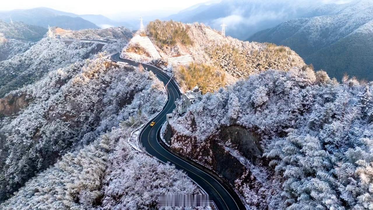 这周尤其周末就不要去四明山跑山给大家添麻烦了。（素材自宁波发布） 