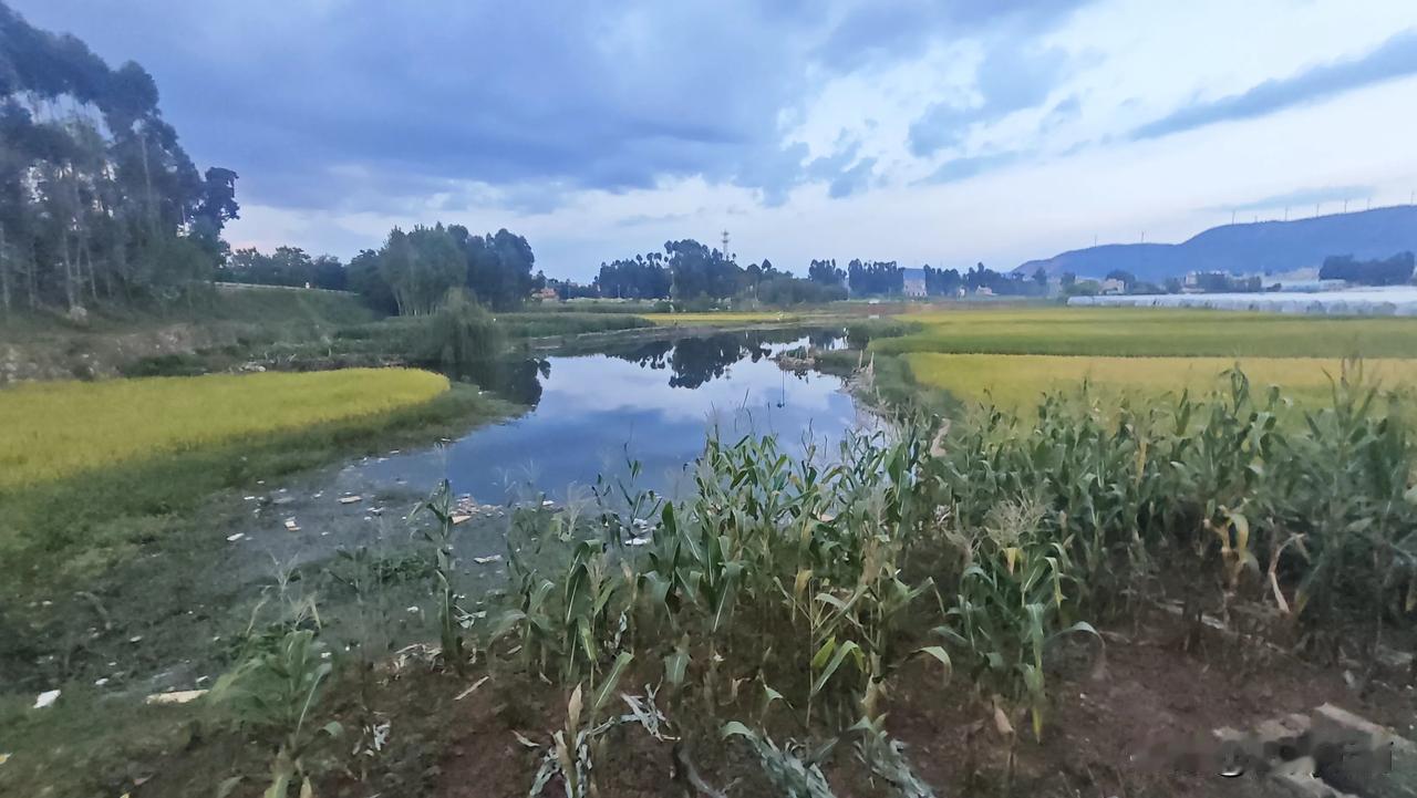 #拍一张家乡的美丽风景#彩云之南陆良