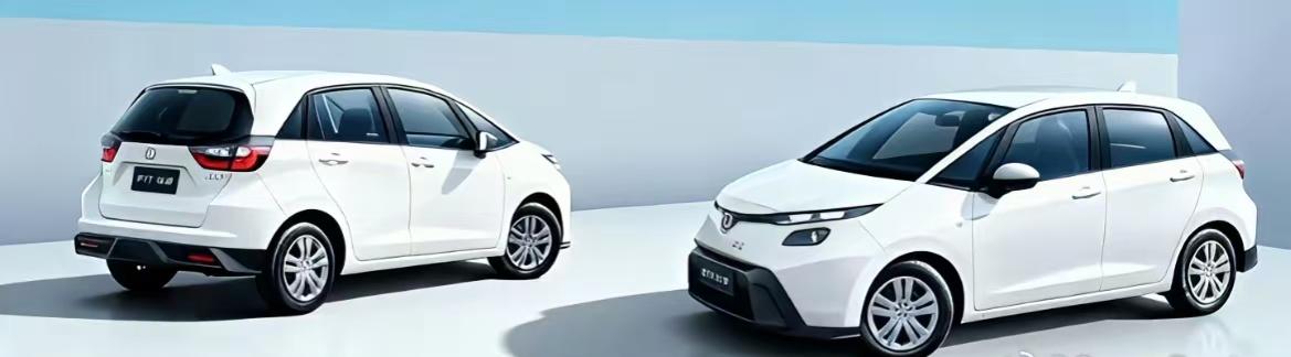 本田飞度真想留在中国的话，恐怕就只有一条路可走。
本田飞度11月份居然连一辆车都