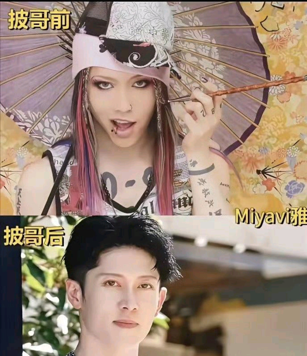 谁来了芒果台都得清爽到像换了一个人