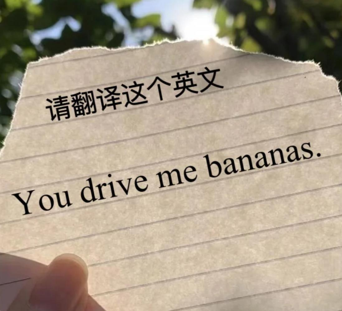 以你的英文水平和文采，会如何翻译这句英文？
You drive me banan