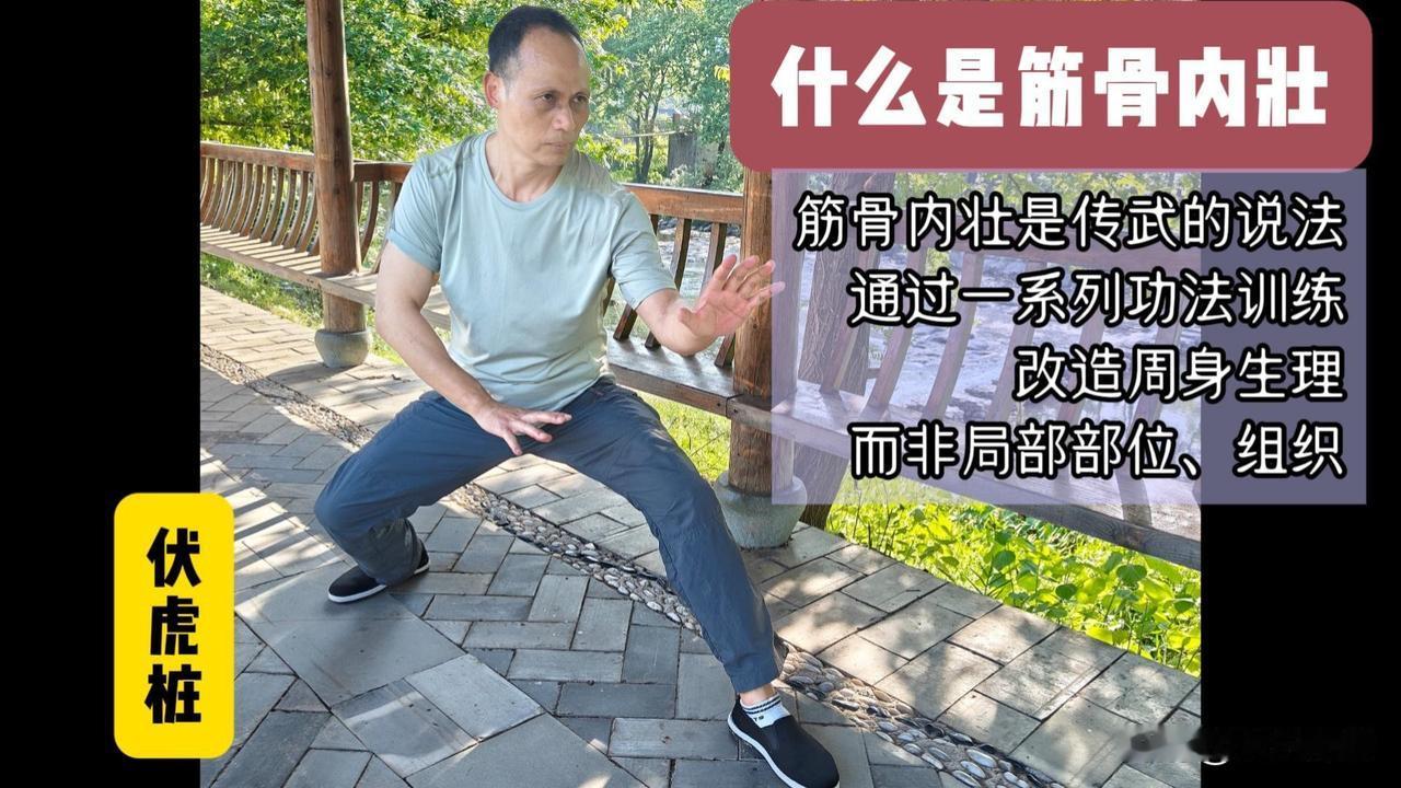 什么是筋骨内壮？
筋骨内壮是传武的说法
通过一系列的功法训练
改造周身生理
而非