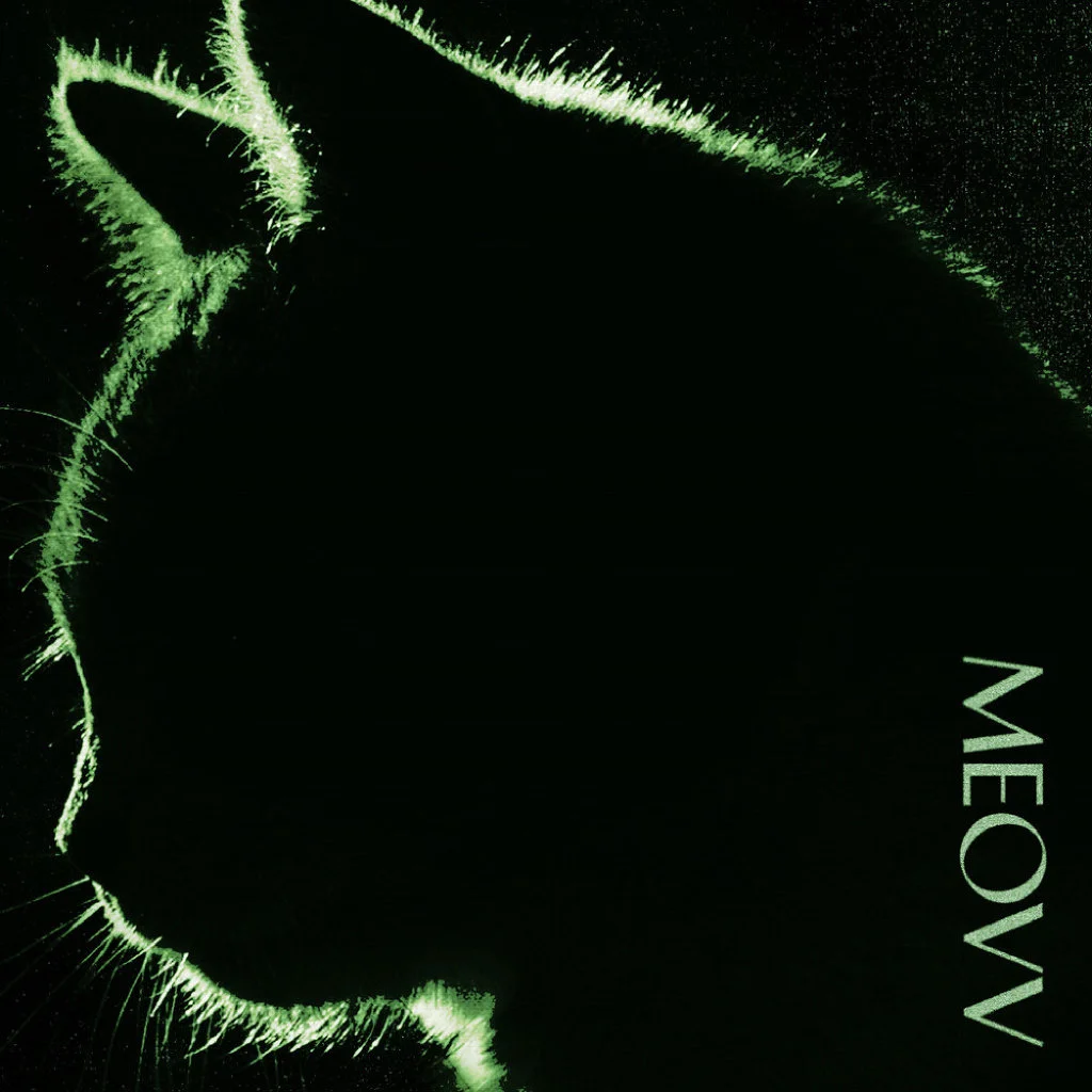 Meovv新曲『toxic』空降成绩