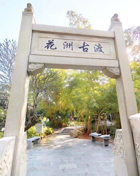 春日花朵、夏日暖阳、秋日落羽杉、冬日浪漫
📍广州 
天天领红包🌿 晓港公园 
