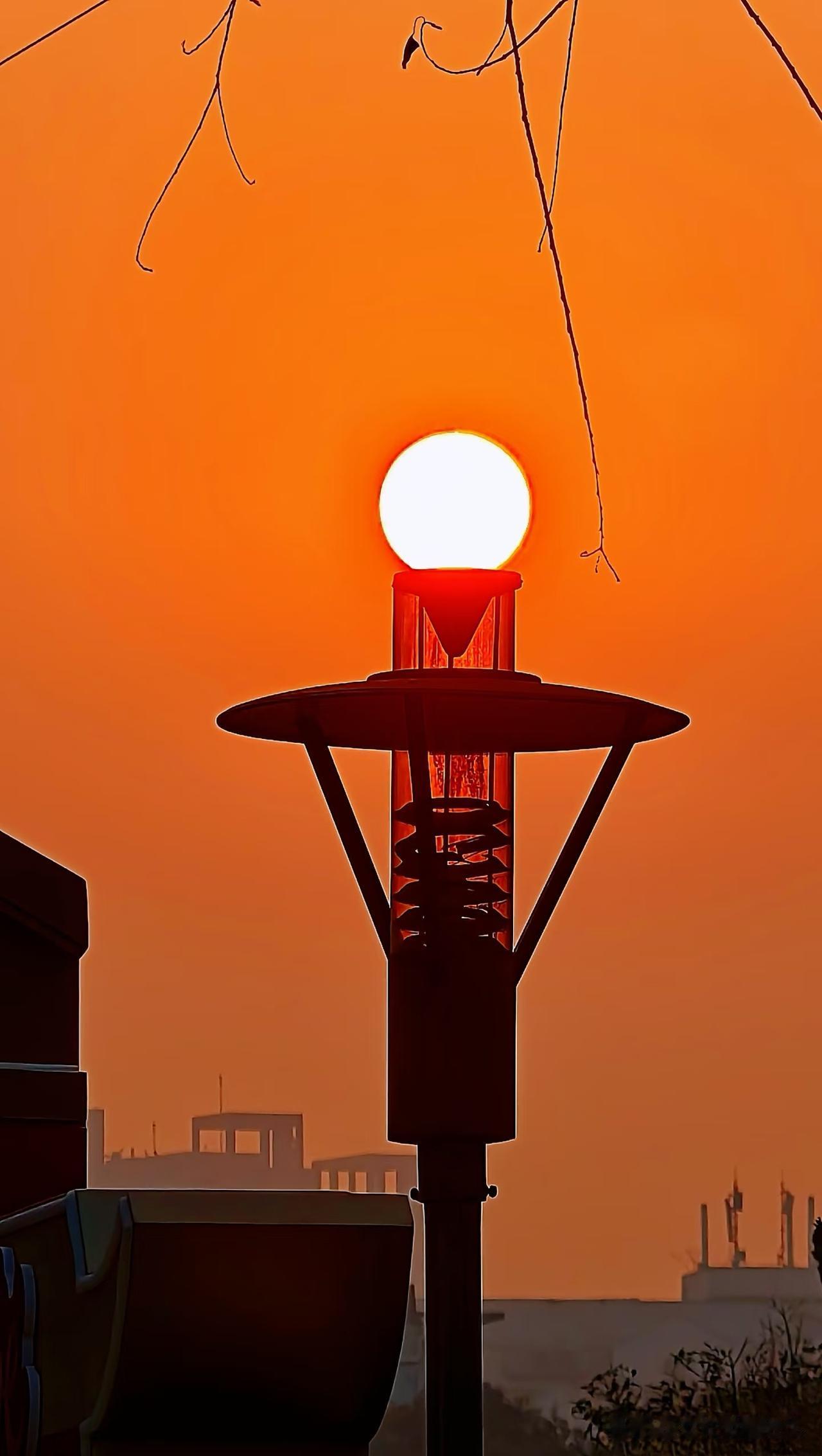 世界上最好的
12个免费“长寿医生”！
不花一分钱，活到九十九

1、午睡
中午