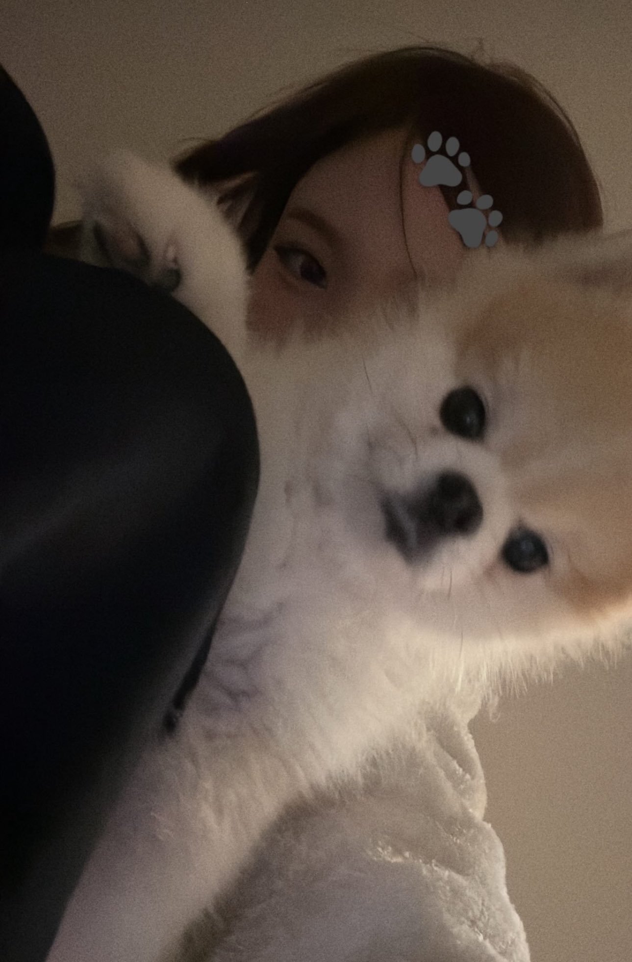 250210 nayeonyny story：🐰🐾 😴 