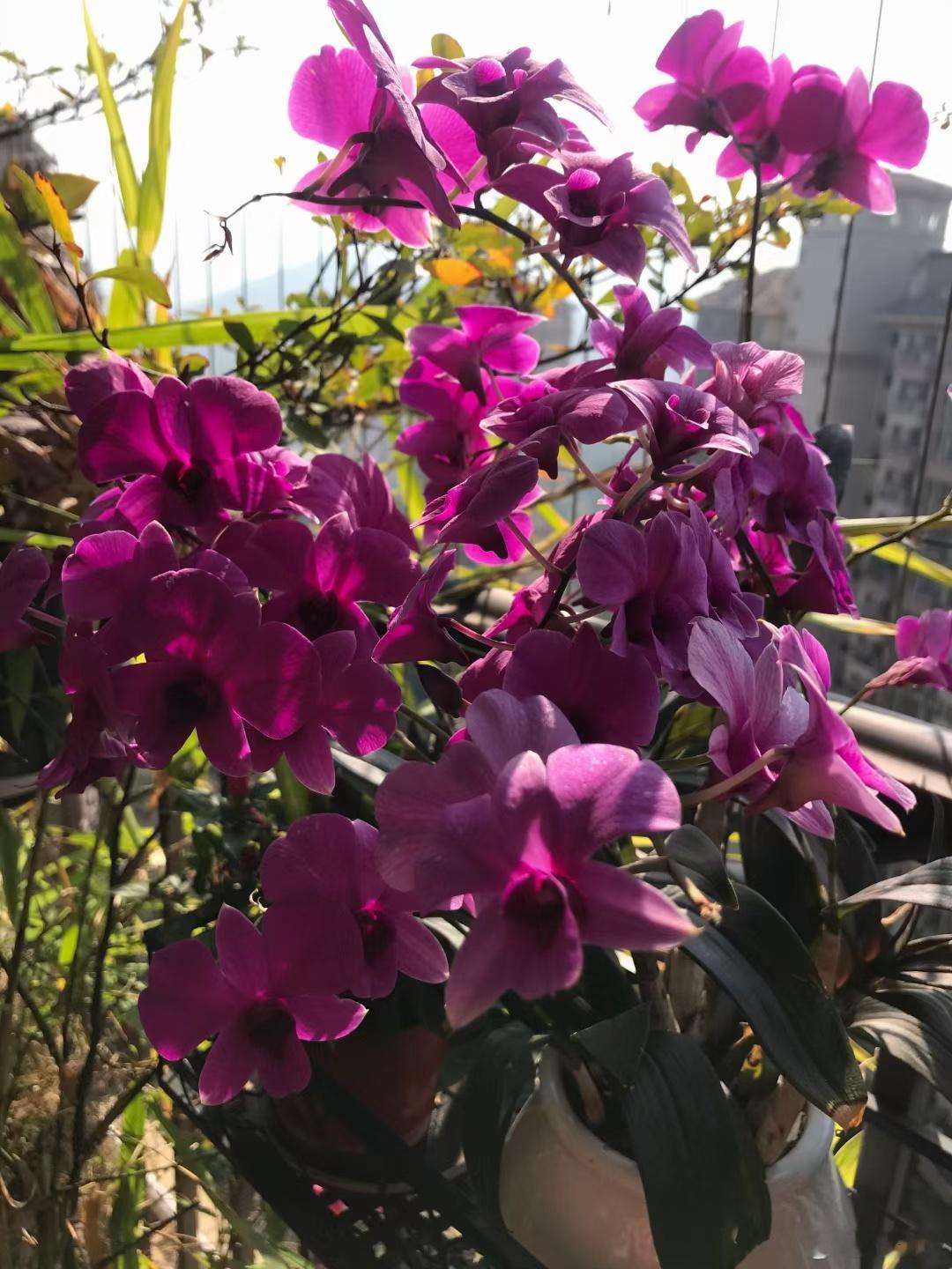 男朋友家境太差了，舍不得分手，怎么办？跟男朋友交往了一年，对于他个人我是喜欢满意