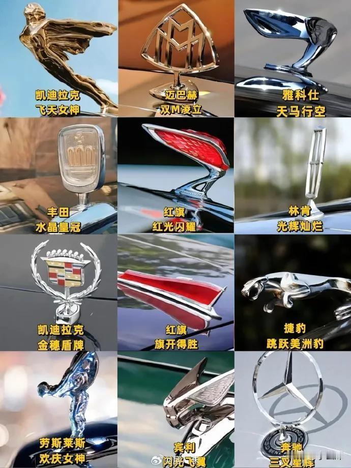 还是觉得红旗的好看，你们觉得呢？