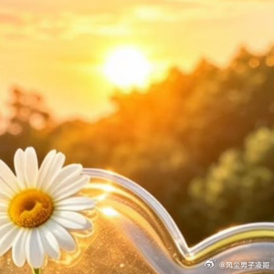阳光信用  过得积极是为了生活，过得糊涂是为了快乐，你若简单，生活就是童话，你若