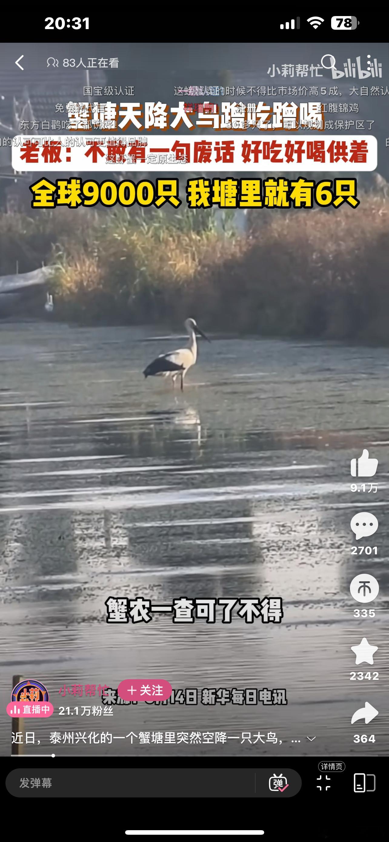 老板：我也不敢说话啊 。现在好像有三十多只了 