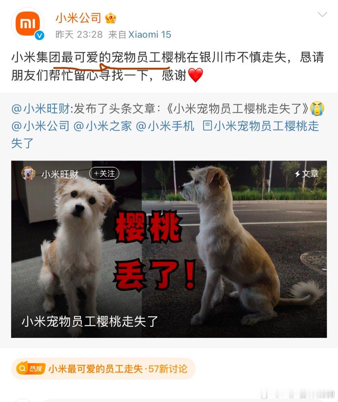 小米最可爱的员工走失 省略“宠物”两个字之后，这味道就变了新闻从业者真厉害，大写