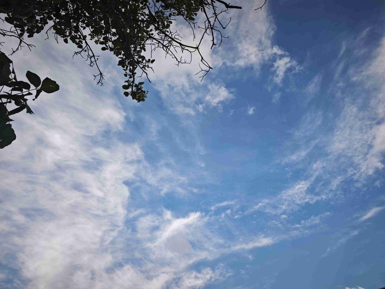 我的今日状态：😁轻松愉快
我这里的天气：☀️晴天
大家不要被太白的天气预报骗了