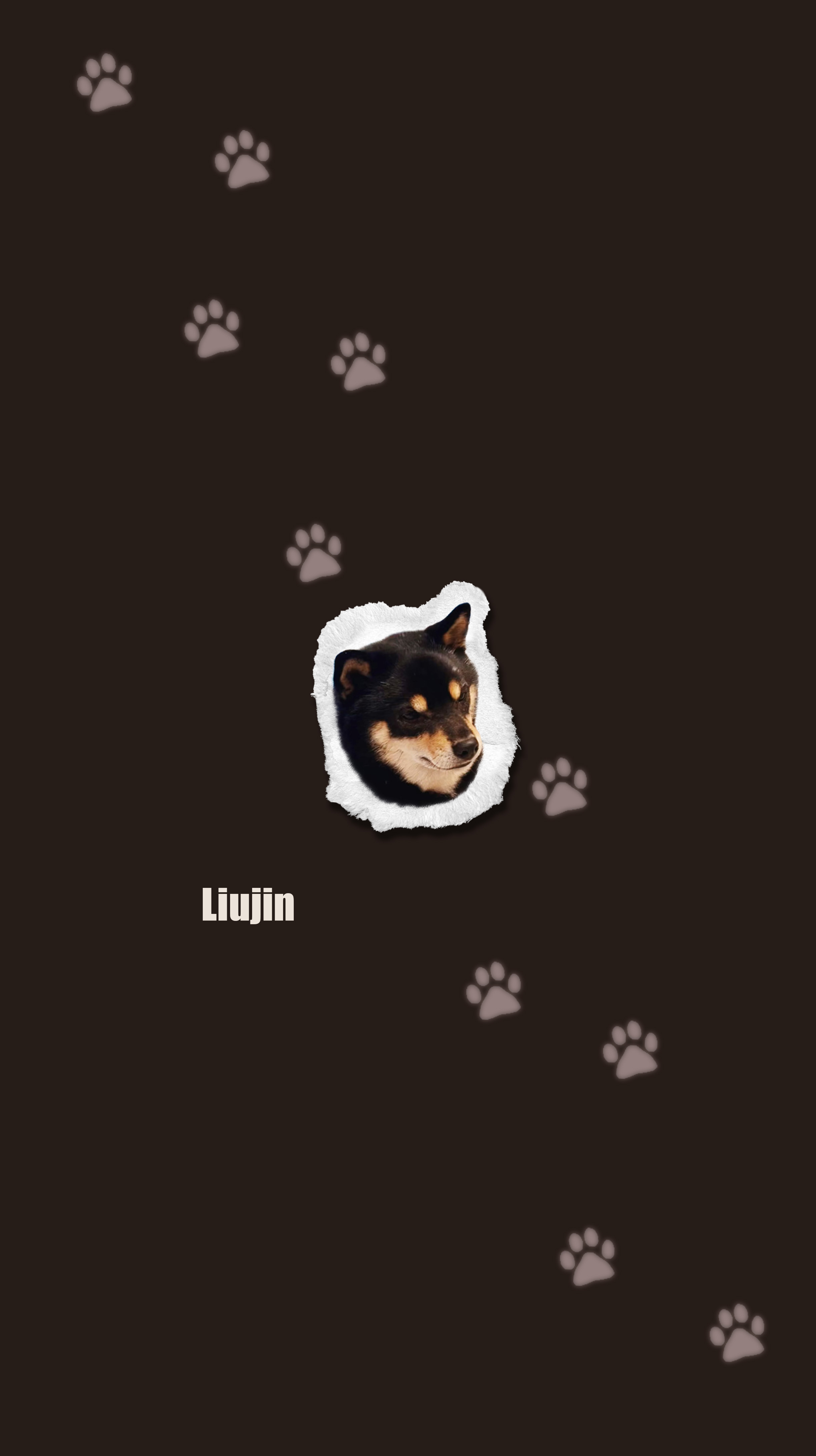 🐶 