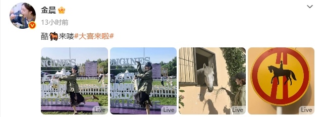 金晨属马在马年看马术比赛金晨图里其实有两匹马 跟大家分享的图片里面原来有两匹马呀
