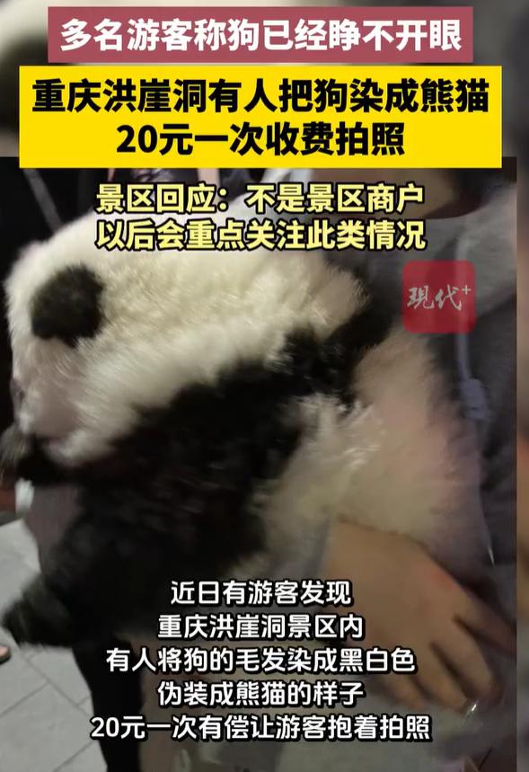 “收费是20元一次，不限时间。”这名游客告诉记者。这只狗狗全身都被染色，可能是受