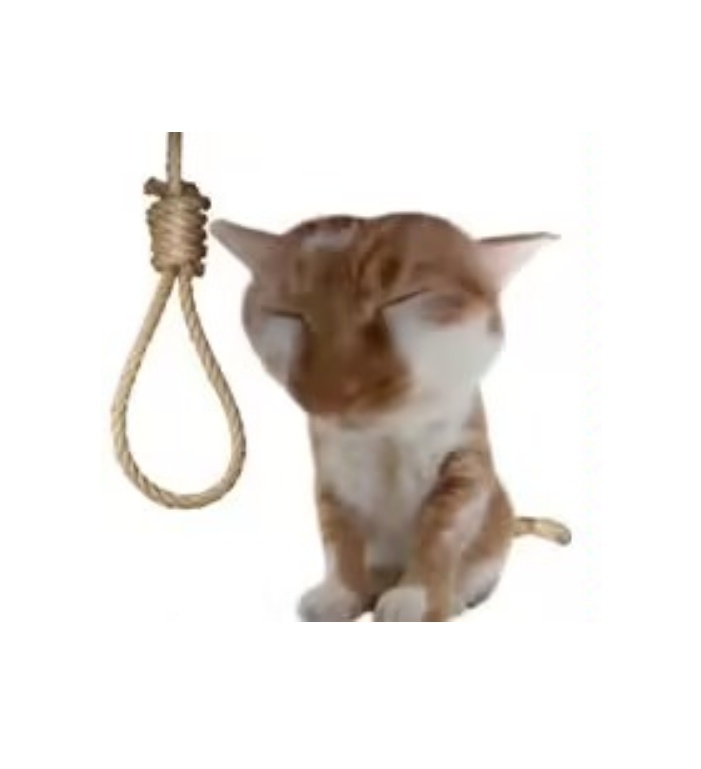到了现在我belike 