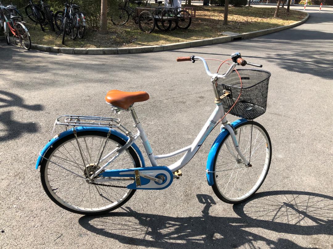 那辆永久女式自行车，是母亲传给我的90年代老物件。银灰色车架带着时光打磨的温润，