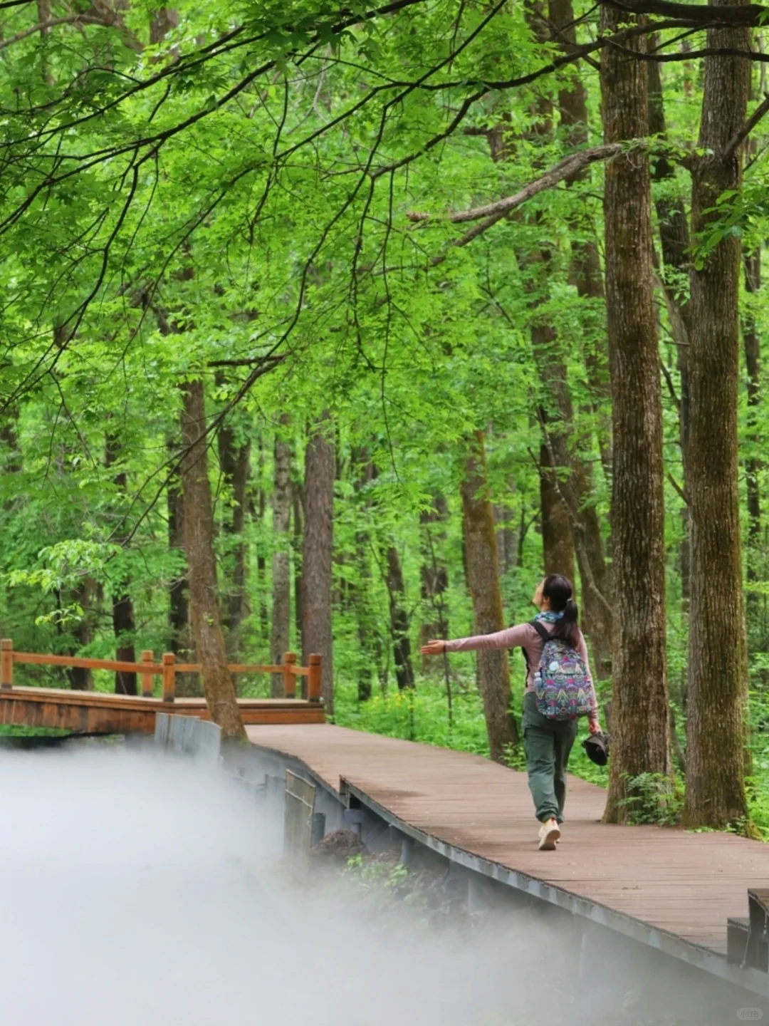 人生建议：五一一定要来18℃的长白山避堵