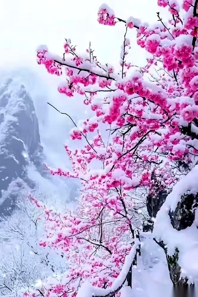 眼睁睁看着它冲上去，又眼睁睁看着它掉下来。
折腾了一天，最后不多不少，就跌了6分