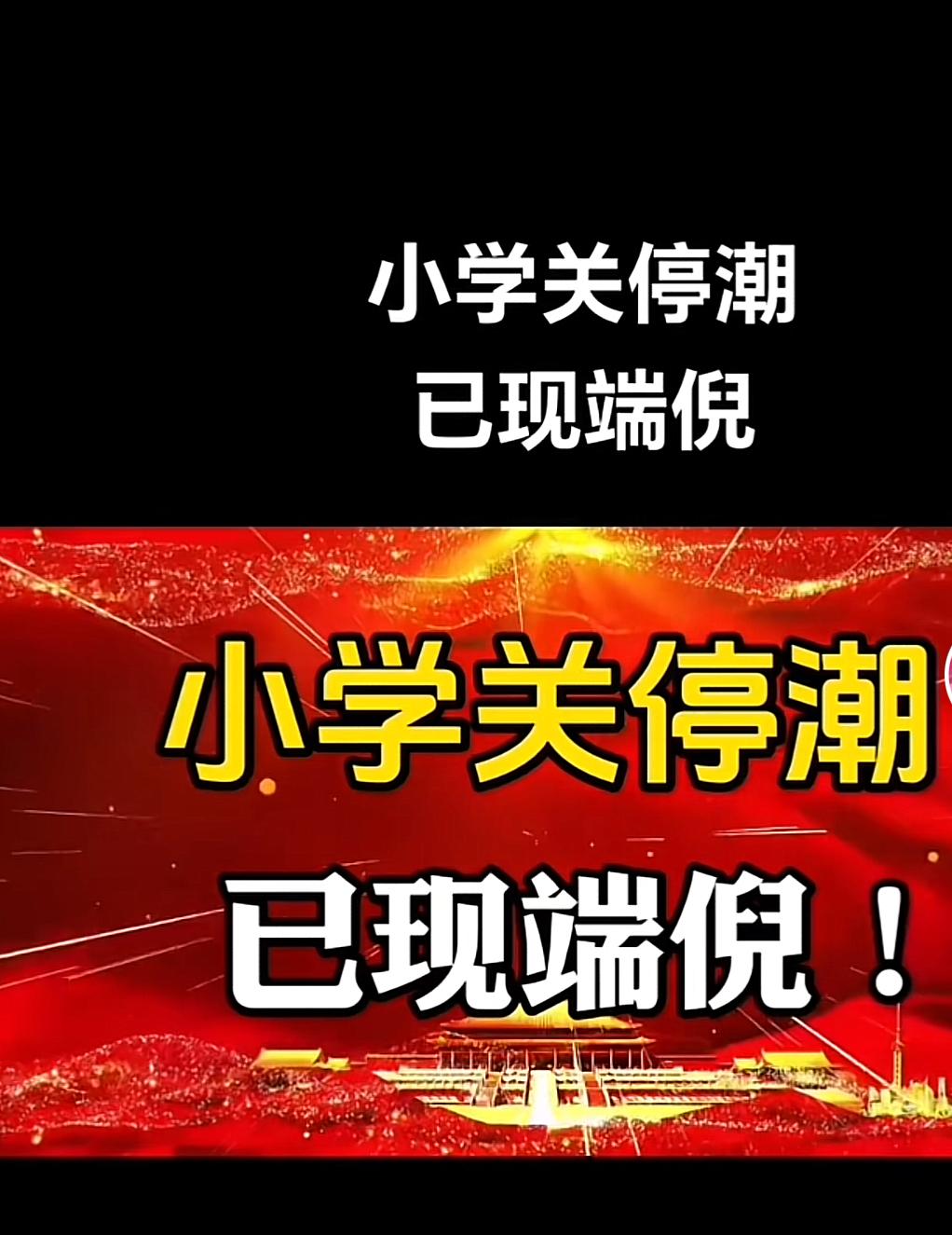 小学关停潮已初现，未来教育走向令人担忧。2023 年就关闭了 5600 所小学，