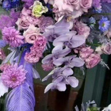 阳光信用💜阳光信用💜每日一善不能接受失败，也意味太想去成功了，从心理学上解释