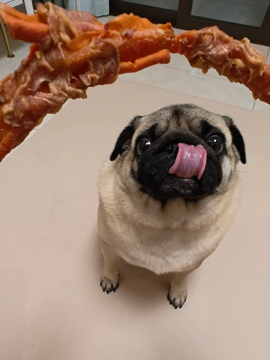 “肉干面前，我的尊严一文不值！”