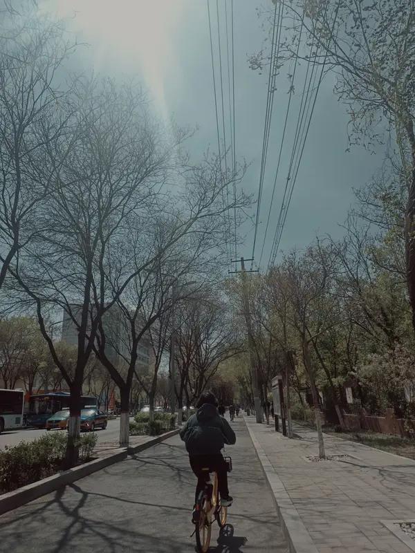 3月28号，春日的风痒痒地挠着脸颊，阳光从梧桐叶缝洒下，像跳动的光斑。墙角野花精