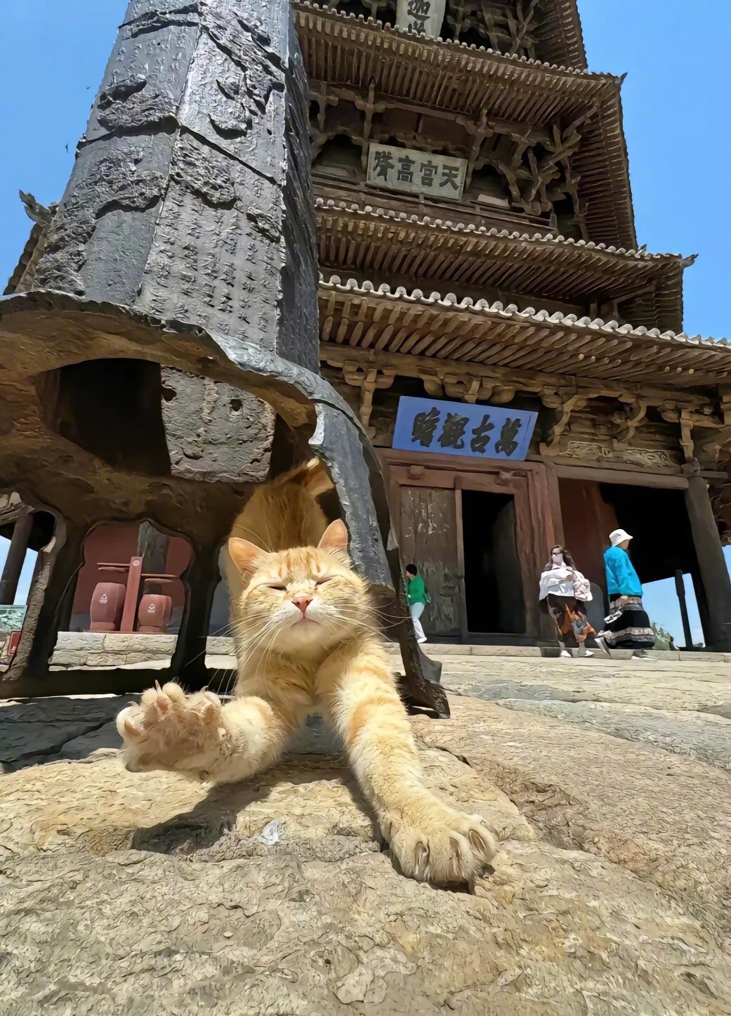 应县木塔的守护天使！！​​​