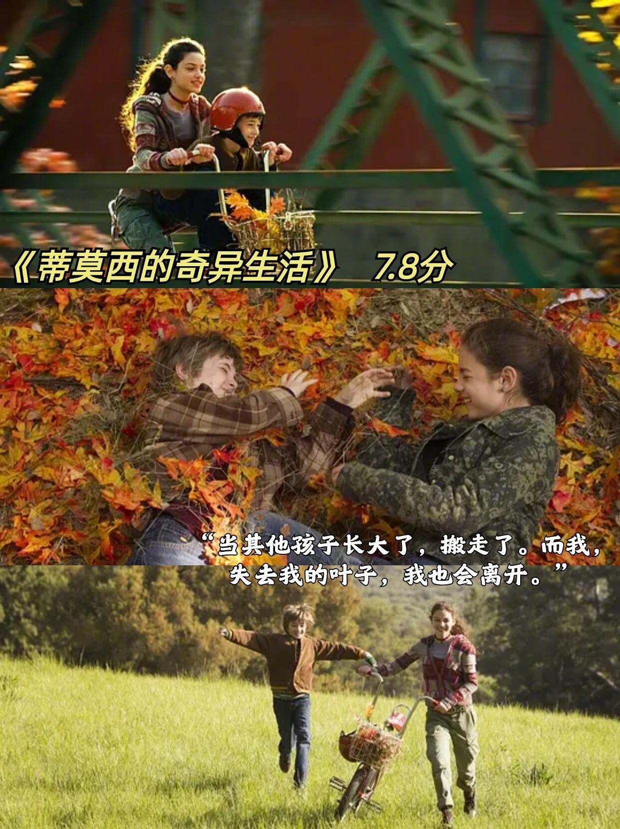 那些充满秋天氛围感的电影。 [求关注][拜托][点赞] ​​​