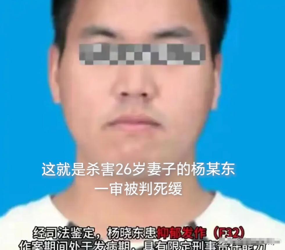 别再说什么情绪失控了！这根本不是一时冲动，是早就计划好的犯罪行为！

这个叫杨某