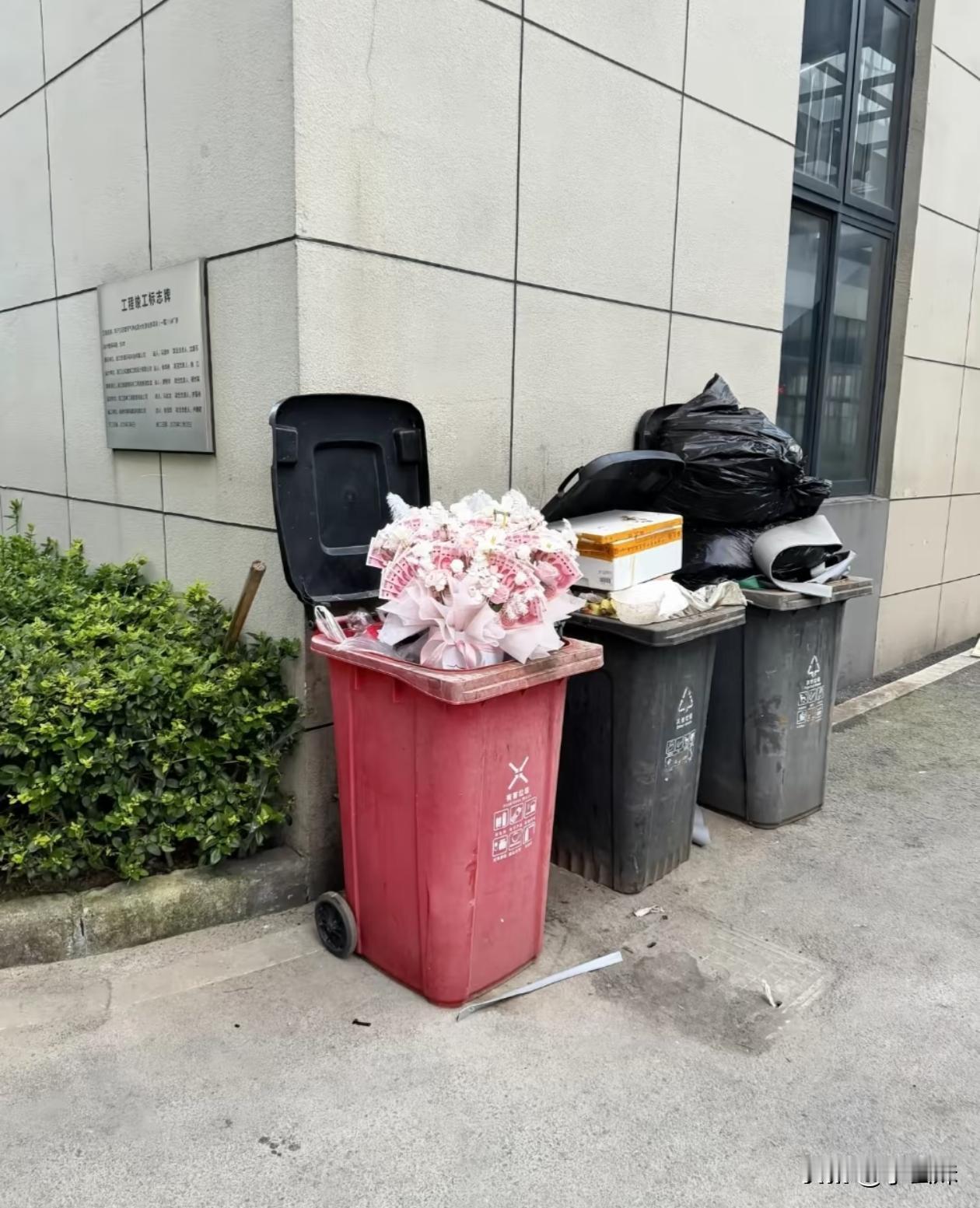 真有人把这样的花丢了么