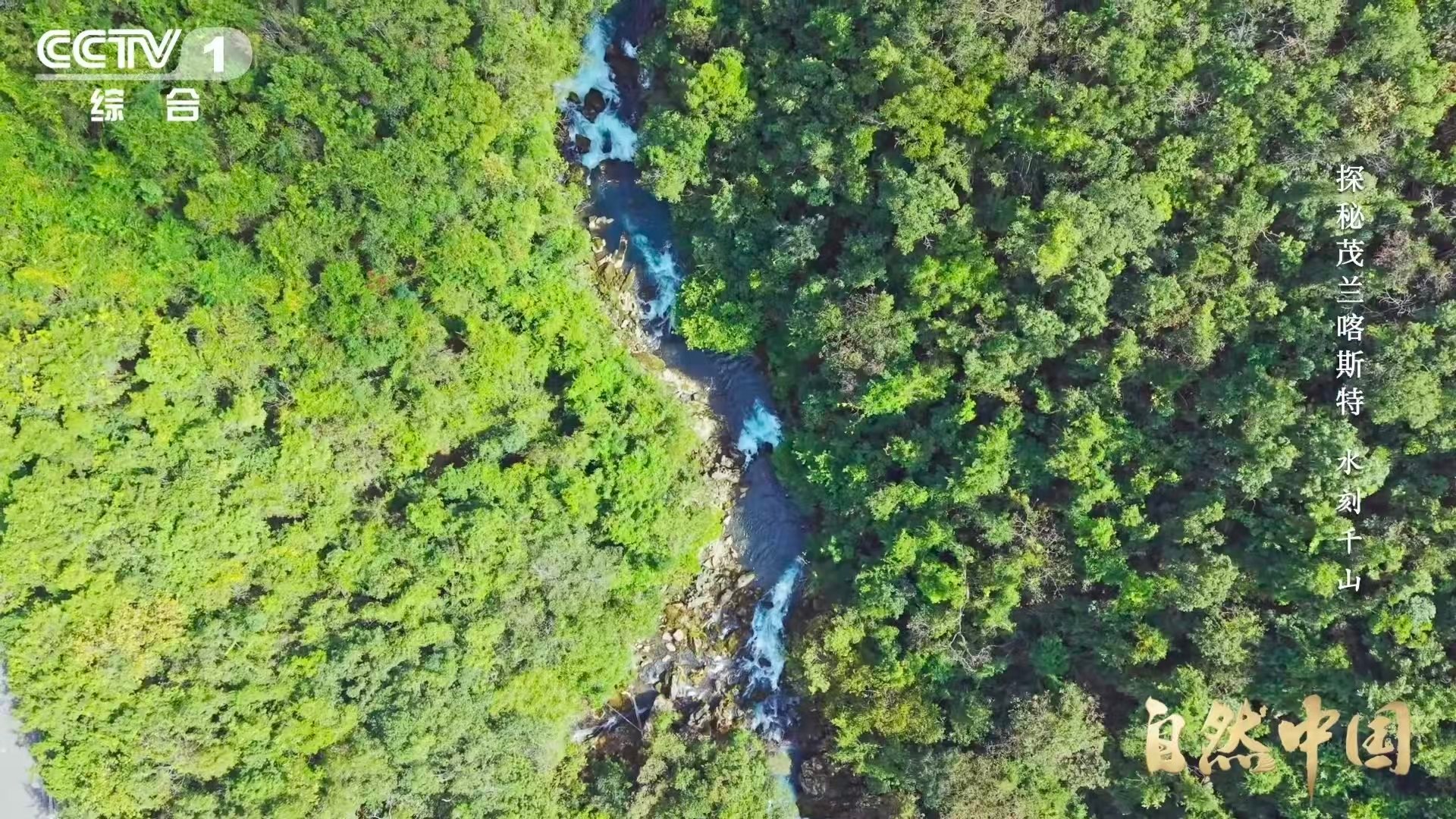 原来贵州曾是大海贵州山顶发现亿万年前珊瑚化石 贵州的山，藏着海的魂。亿万年珊瑚化