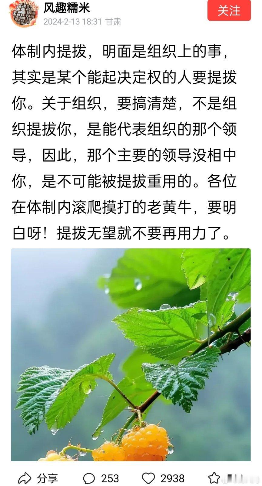 组织的作用是让领导的意志合法合规的落实 ​​​