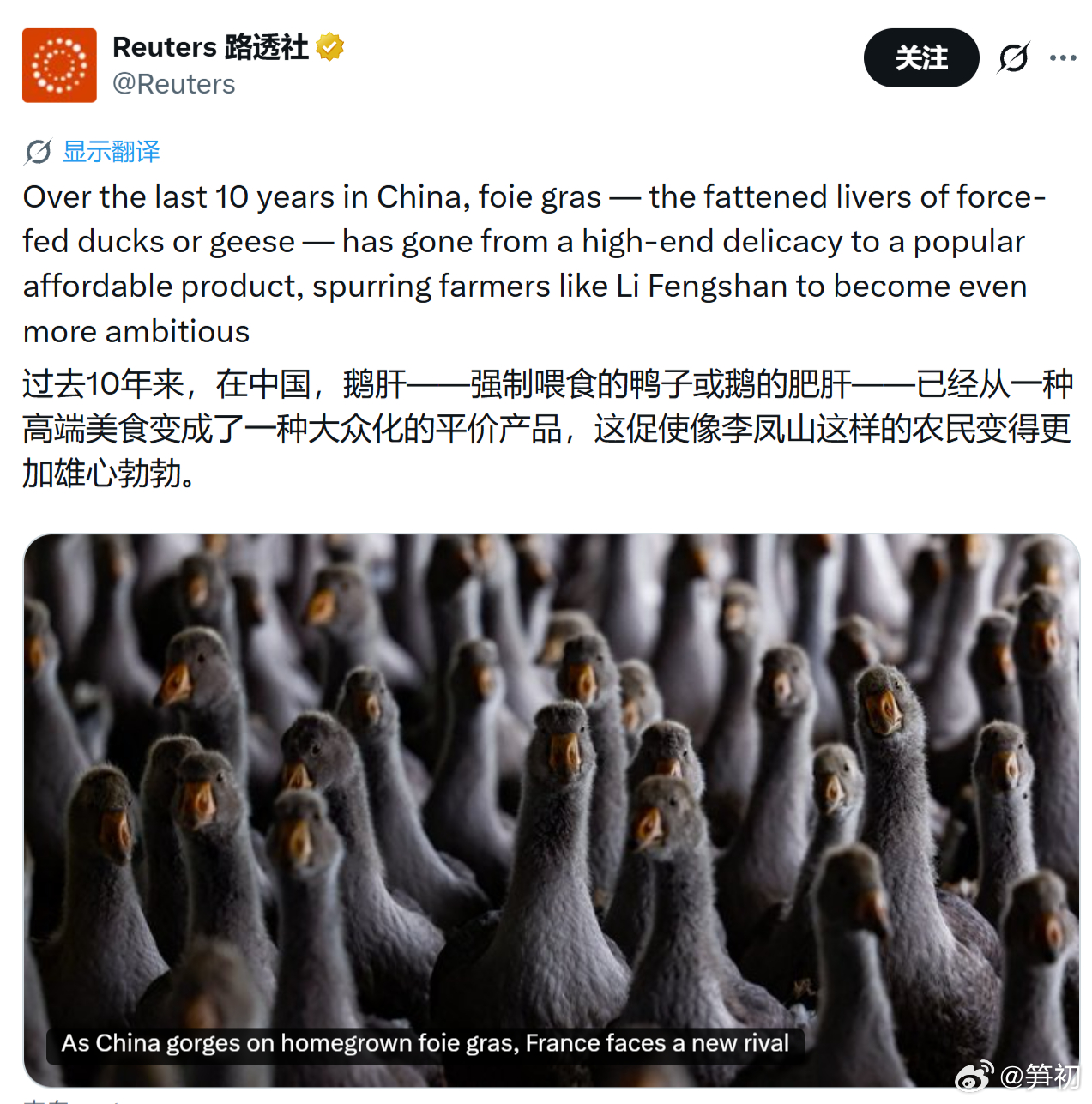 《路透社》：过去10年来，在中国，鹅肝已经从一种高端美食变成了一种大众化的平价产