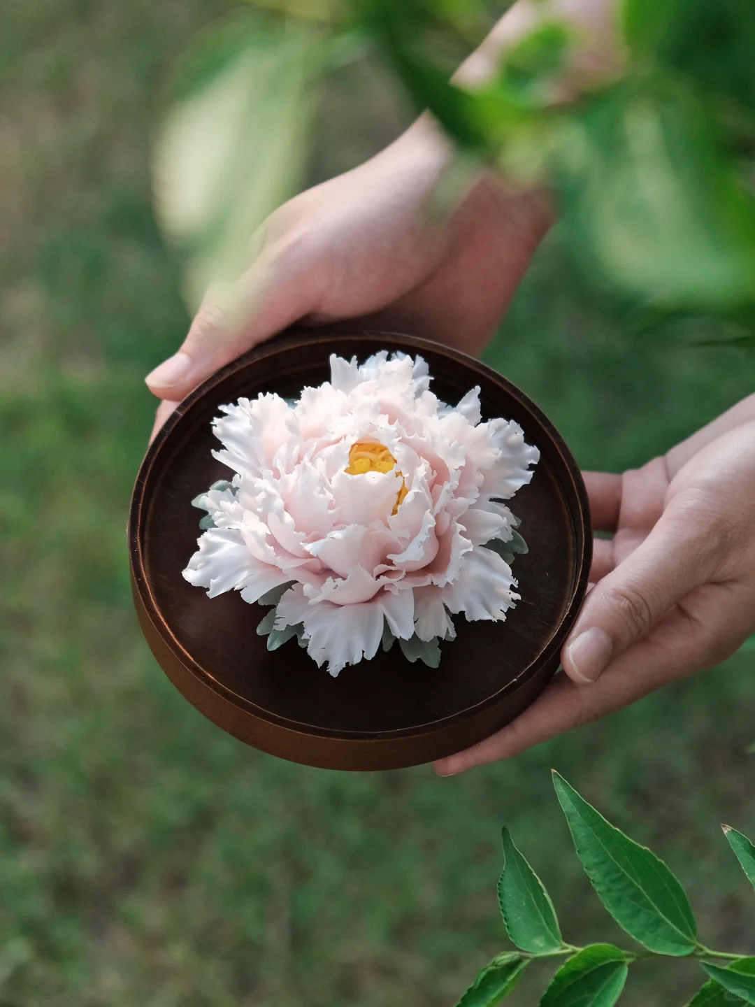 这居然不是花😯