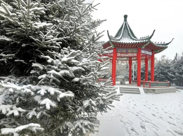 雪容融|下雪了，满街都是“雪容融”｜冰城人已经在冰场、雪地撒欢儿了