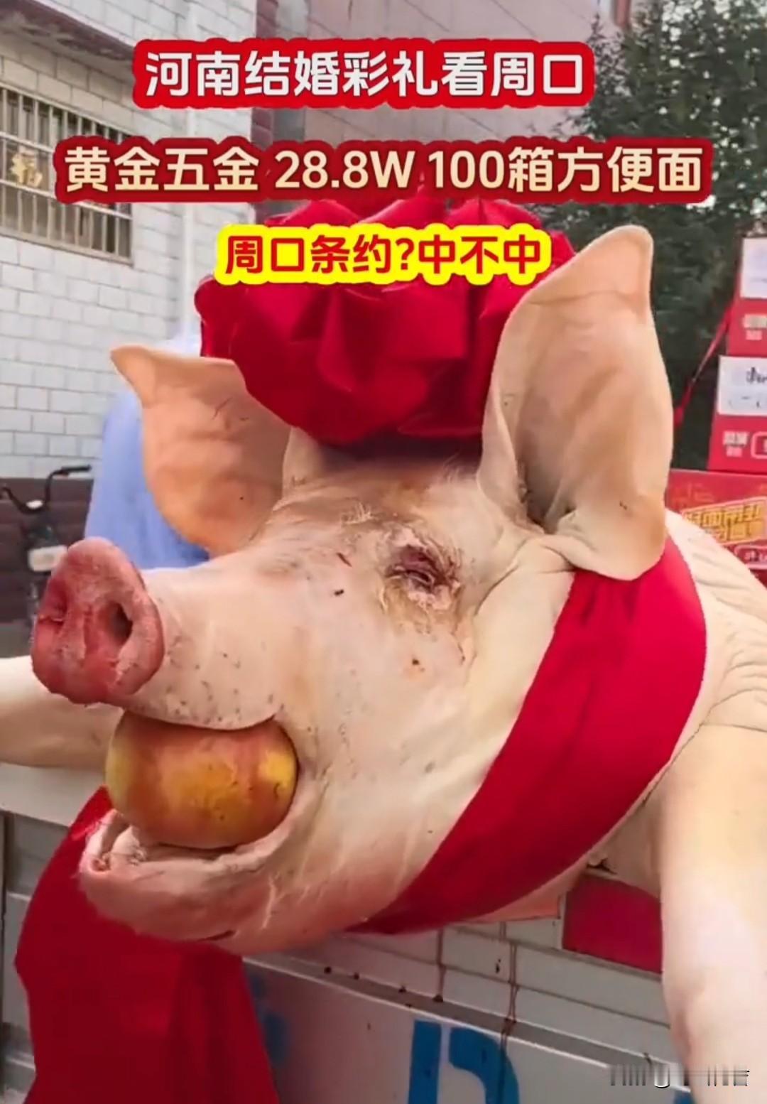 中国彩礼哪家强，河南周口真是强。订个婚像赈灾，你家养女儿不容易，难道男方养儿子就