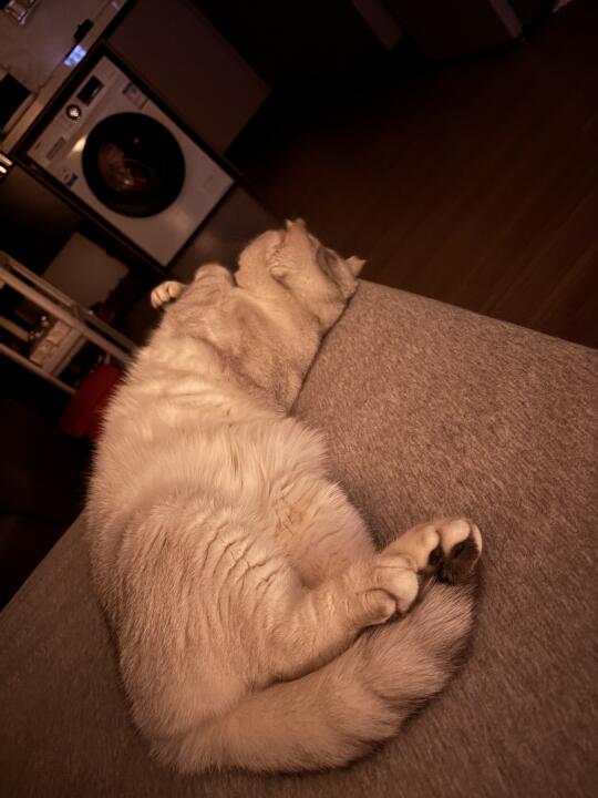 正着反睡？？？