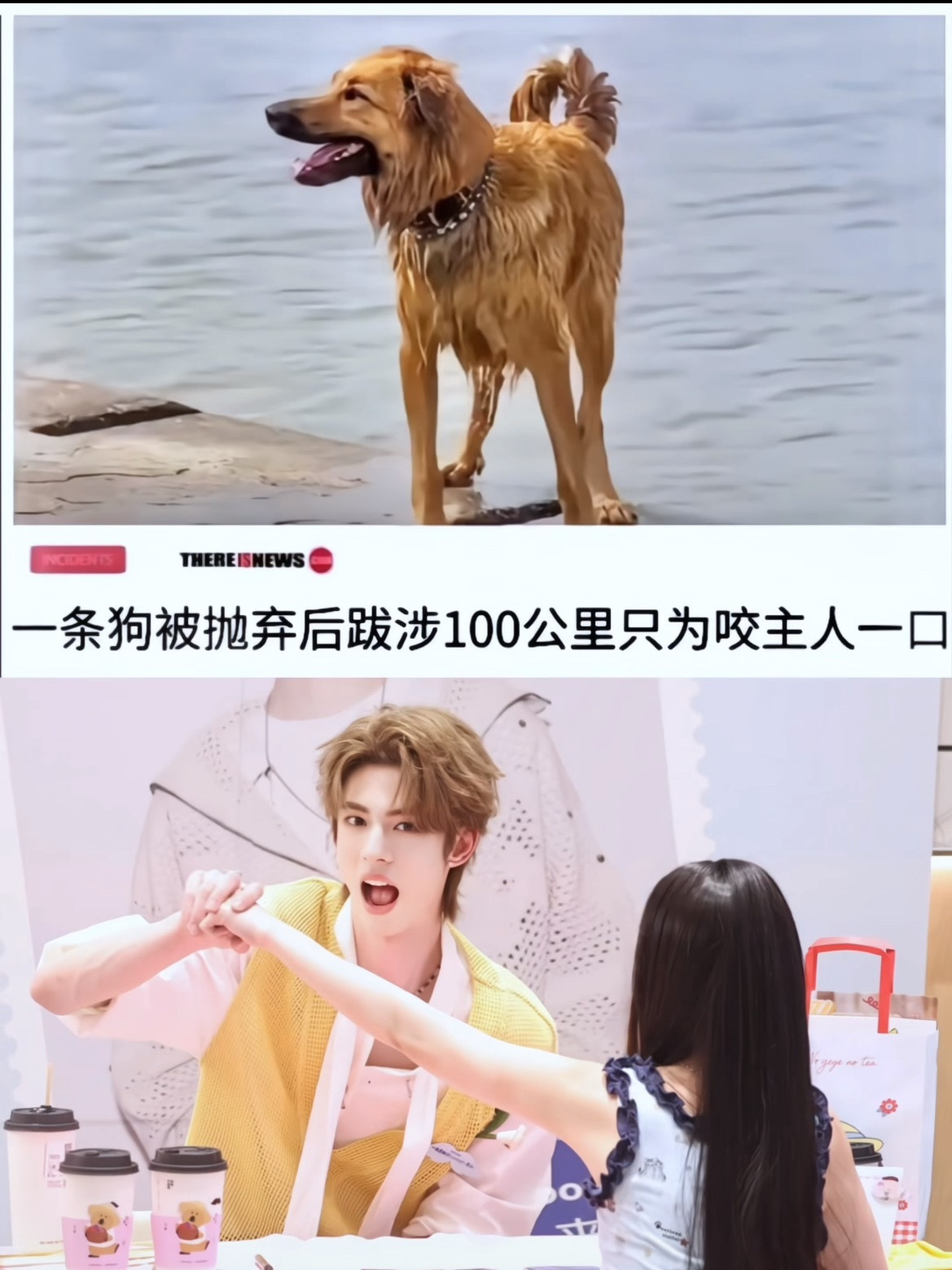 我被萌哭