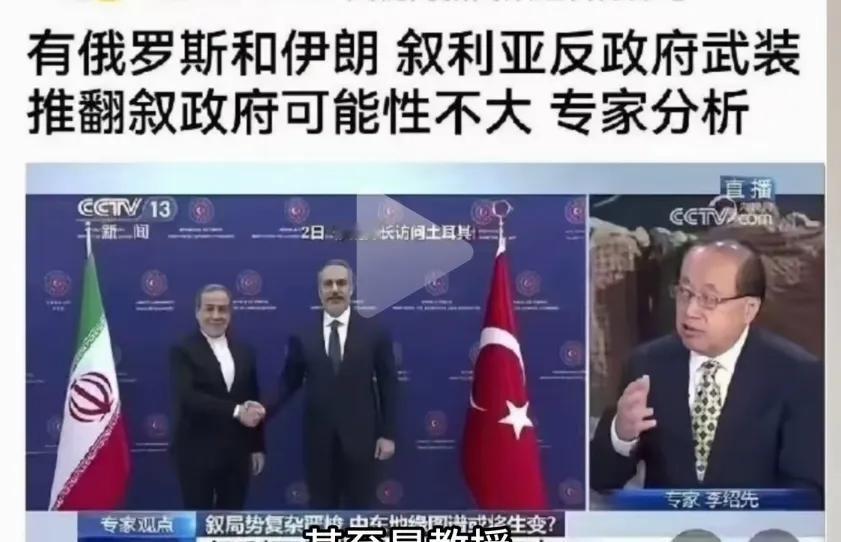 叙利亚巴沙尔政府被推翻，又打了砖家的脸！这些专家，有的是专门研究中东问题专家，有