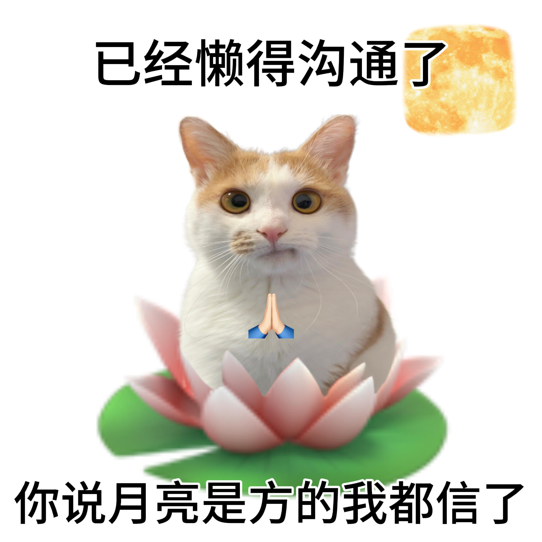 工作发起疯来谁都骂小时候不理解那些有手有脚的人为什么不出去工作 现在我理解了 小