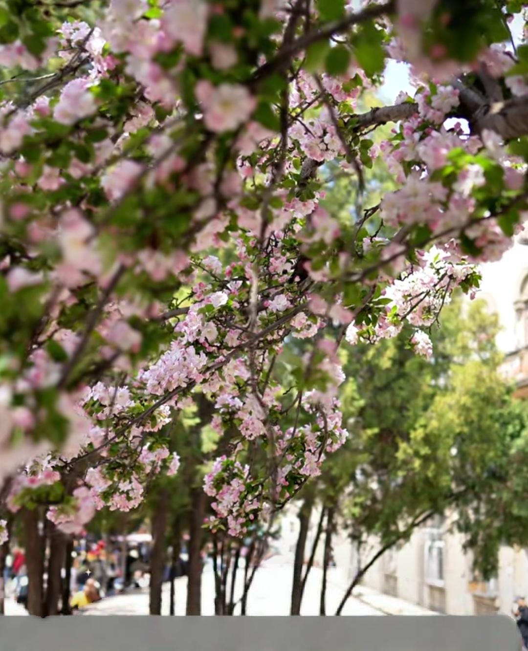 分享一张今天的照片吧