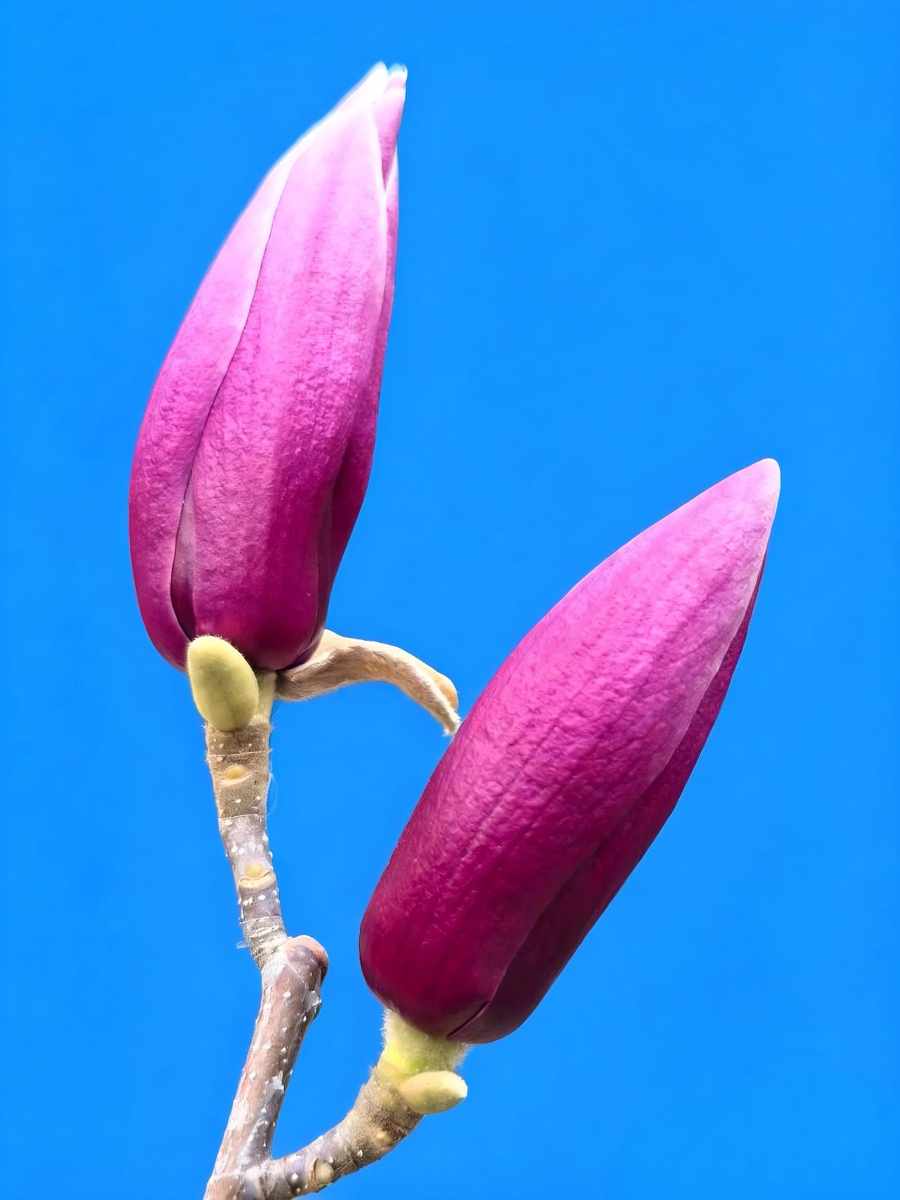 Often, our anxiety stems from the urge t