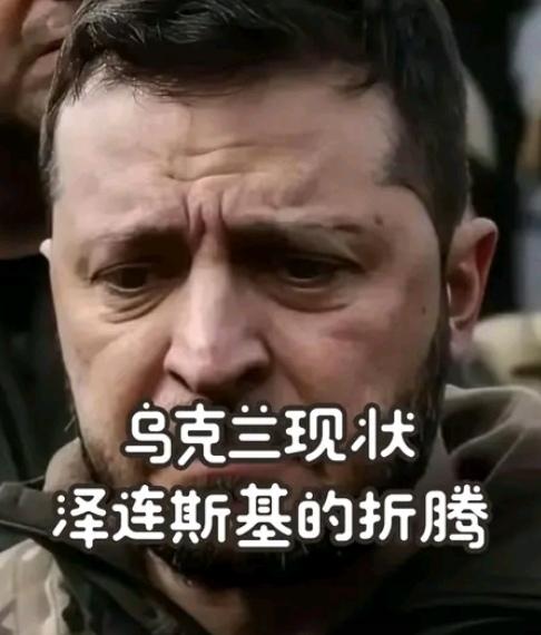 泽连斯基急寻特朗普要