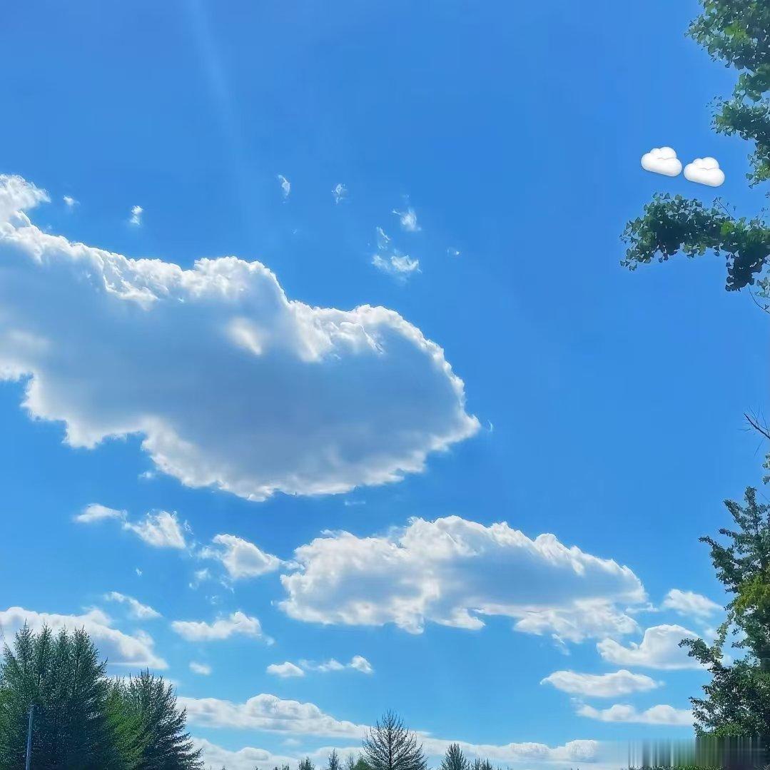 王源p的两朵云王源p的西兰花  哈哈哈哈我不行了小源 