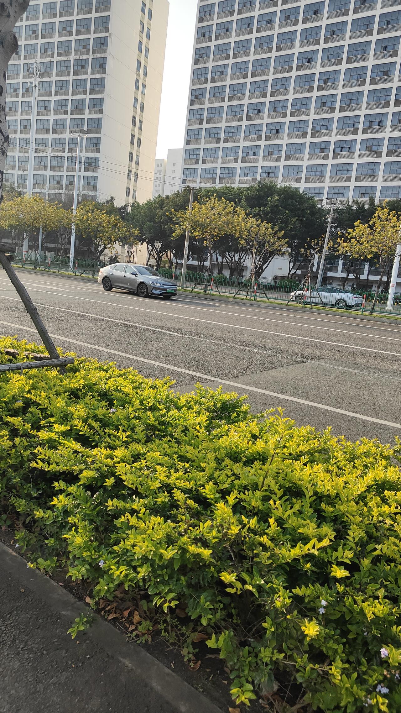 七点多就出来接单了吗？
比亚迪秦